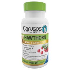 Caruso’s Hawthorn | 60 Tabs