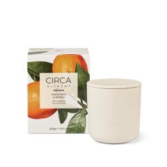 Circa Mandarin and Neroli Soy Candle 300g
