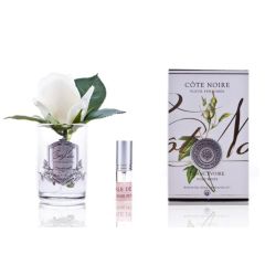 Cote Noire PERFUMED NATURAL TOUCH ROSE BUD - CLEAR - IVORY WHITE