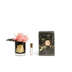  Cote Noire PERFUMED NATURAL TOUCH SINGLE ROSE - BLACK - WHITE PEACH