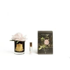 Cote Noire PERFUMED NATURAL TOUCH SINGLE ROSE - BLACK - FRENCH PINK