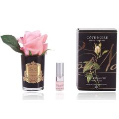 PERFUMED NATURAL TOUCH ROSE BUD - BLACK - WHITE PEACH