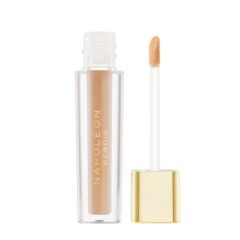 Napoleon Perdis Camera Finish Concealer Ln10