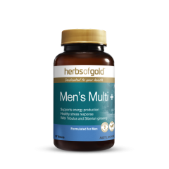 Herbs of Gold Men's Multi + 30 tabs