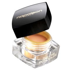 Napoleon Perdis the One Concealer Original