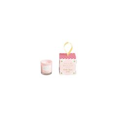 Palm Beach Extra Mini Candle Winter Berries 50g