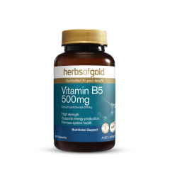Herbs of Gold Vitamin B5 500mg 60 caps